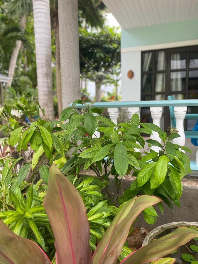 Des Anges Gasthof Insel La Digue